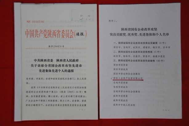 2009年2月，被陕西省委、省政府授予陕西省国有企业改革攻坚先进集体